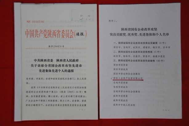 2009年2月，被陕西省委、省政府授予陕西省国有企业改革攻坚先进集体